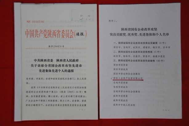 2009年2月，被陕西省委、省政府授予陕西省国有企业改革攻坚先进集体